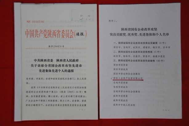 2009年2月，被陕西省委、省政府授予陕西省国有企业改革攻坚先进集体